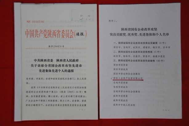 2009年2月，被陕西省委、省政府授予陕西省国有企业改革攻坚先进集体